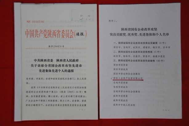 2009年2月，被陕西省委、省政府授予陕西省国有企业改革攻坚先进集体